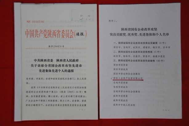 2009年2月，被陕西省委、省政府授予陕西省国有企业改革攻坚先进集体